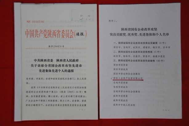 2009年2月，被陕西省委、省政府授予陕西省国有企业改革攻坚先进集体